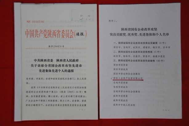 2009年2月，被陕西省委、省政府授予陕西省国有企业改革攻坚先进集体